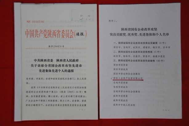 2009年2月，被陕西省委、省政府授予陕西省国有企业改革攻坚先进集体